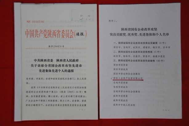 2009年2月，被陕西省委、省政府授予陕西省国有企业改革攻坚先进集体